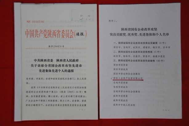 2009年2月，被陕西省委、省政府授予陕西省国有企业改革攻坚先进集体